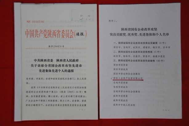 2009年2月，被陕西省委、省政府授予陕西省国有企业改革攻坚先进集体